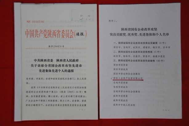 2009年2月，被陕西省委、省政府授予陕西省国有企业改革攻坚先进集体